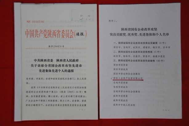 2009年2月，被陕西省委、省政府授予陕西省国有企业改革攻坚先进集体